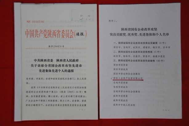 2009年2月，被陕西省委、省政府授予陕西省国有企业改革攻坚先进集体